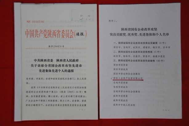 2009年2月，被陕西省委、省政府授予陕西省国有企业改革攻坚先进集体